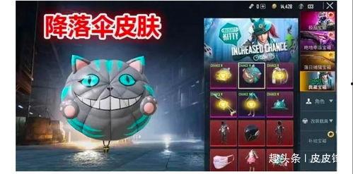 军需新皮肤最新爆料白猫,军需风采,时尚与力量的完美融合