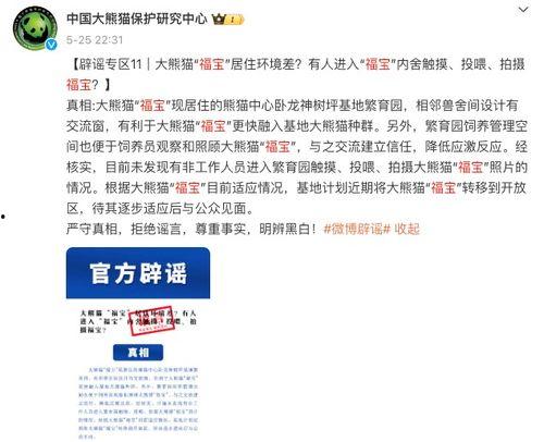 福宝最新事情爆料,揭秘幕后真相,带你走进福宝世界
